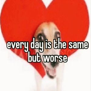 Meet your Posher, Will